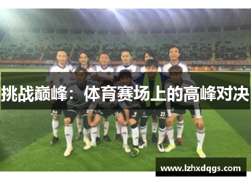 挑战巅峰：体育赛场上的高峰对决